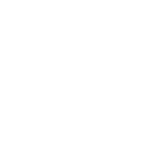 section11 이미지